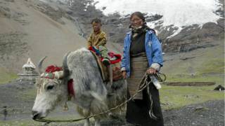 तिब्बत