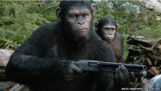 Apes