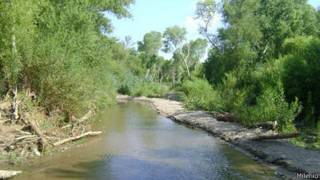Río Sonora