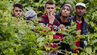 Migrantes