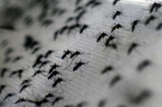 Foto: AP