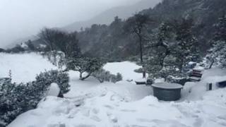 taiwan