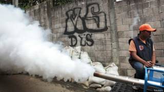 Fumigación en Guadalupe