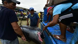Pescadores ecuatorianos