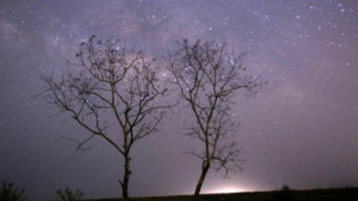 Estrellas