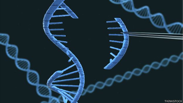 Resultado de imagen para manipulacion genetica