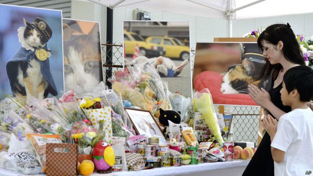 В Японии похоронили кошку, служившую начальником вокзала