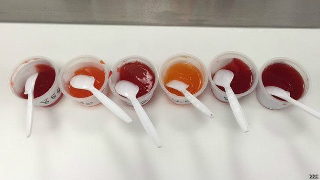 Los supercatadores debían valorar distintas muestras de gelatina de fresa de acuerdo a unos criterios previamente acordados. Distintas muestras de gelatina de fresa que los super catadores debían valorar.