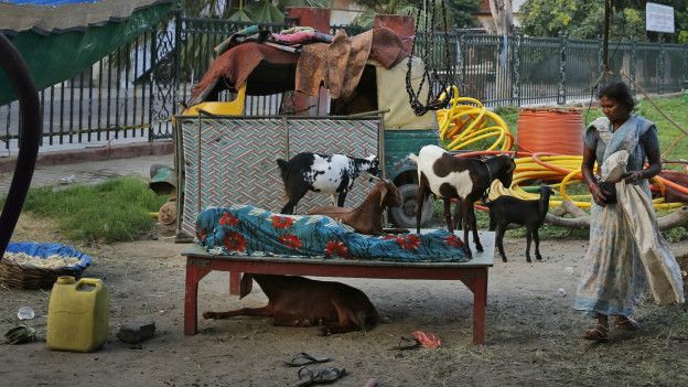 Sem-teto dorme em parque em Lucknow, na Índia (Foto: Rajesh Kumar Singh/AP)