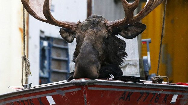 Alaska