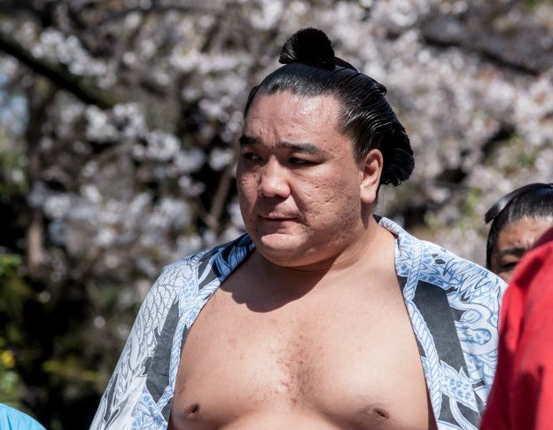Luchador sumo
