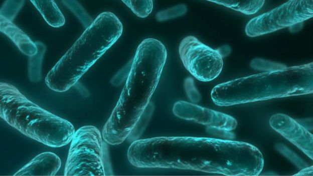 151119113047_antibiotics_resistant_bacteria_3_640x360_thinkstock_nocredit.jpg