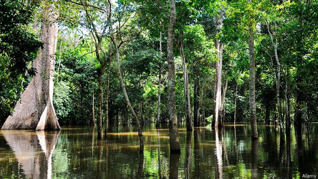 Amazonas