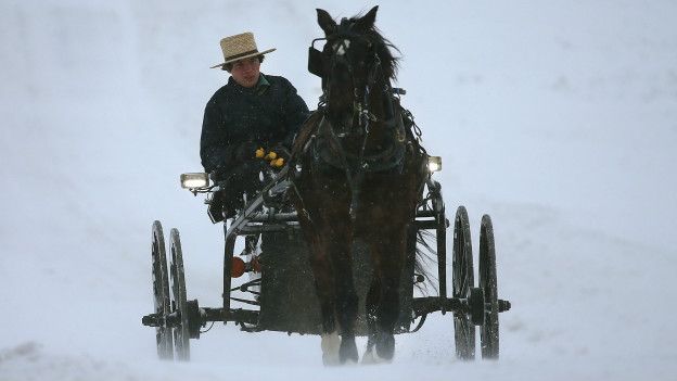 Un amish en una carreta jalada por un caballo