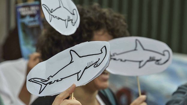 Protesta en Costa Rica