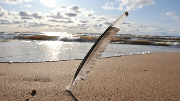 Día Mundial de la Poesía