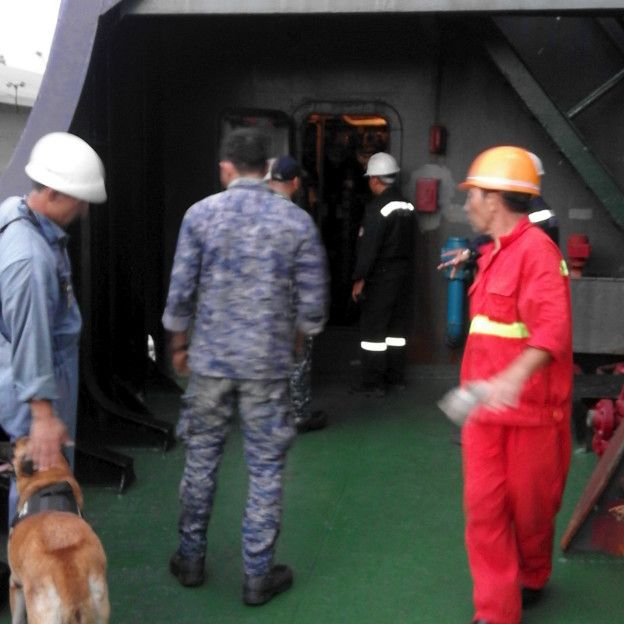Inspección