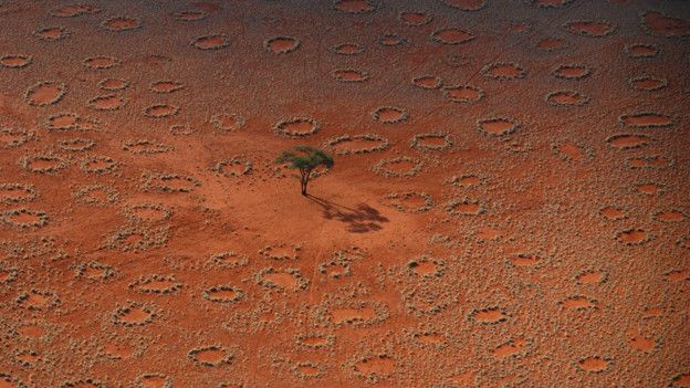 Círculos de hadas en Namibia, Australia