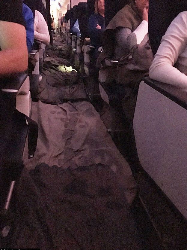Vuelo