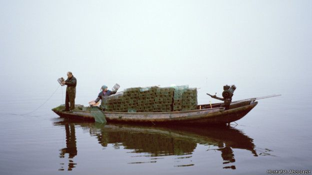 Pesca de camarones, lago Hong, provincia de Hubei, China, 2015
