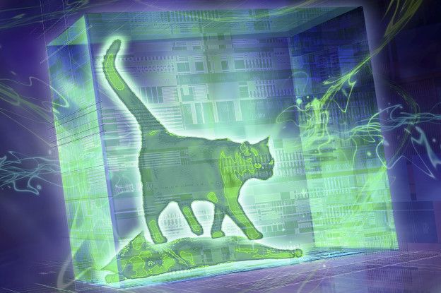 El experimento del gato de Schrödinger