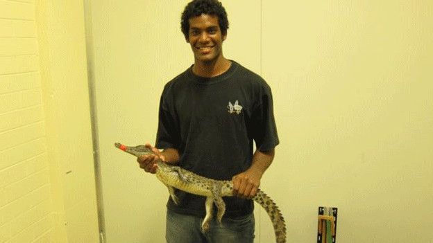 Nicolas Nagloo y sus colegas estudiaron los cocodrilos de una granja en Broome, Australia.