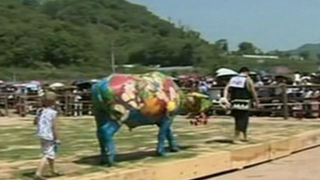 Lomba melukis sapi