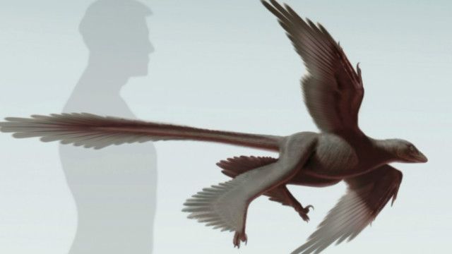 Dinosaurus