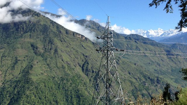 नेपाली वनस्पति