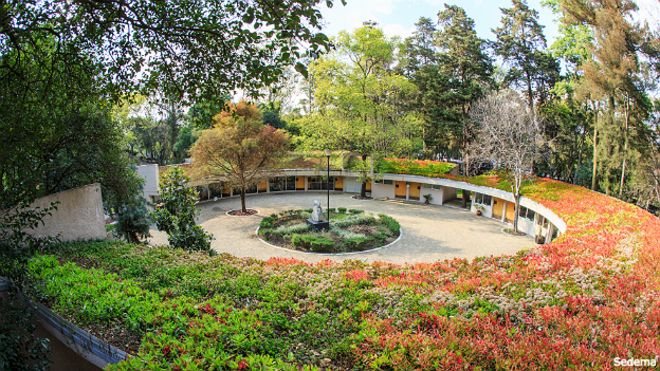 Azotea verde en el Jardín Botánico de Ciudad de México