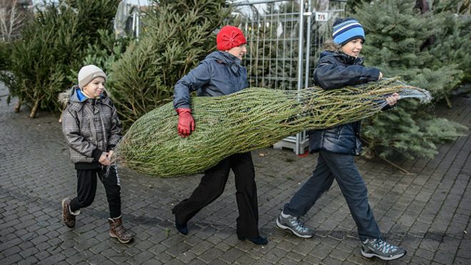 Árbol de Navidad