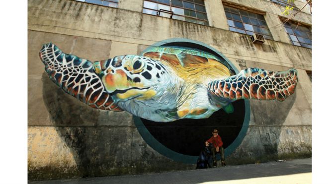 Artista argentino crea obras en muros abandonados
