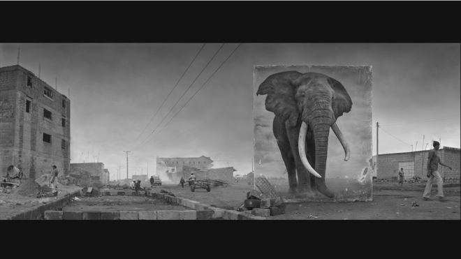 © Nick Brandt. Cortesía de Atlas Gallery