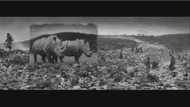 © Nick Brandt. Cortesía de Atlas Gallery